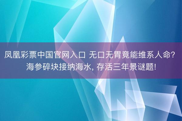 凤凰彩票中国官网入口 无口无胃竟能维系人命? 海参碎块接纳海水， 存活三年景谜题!