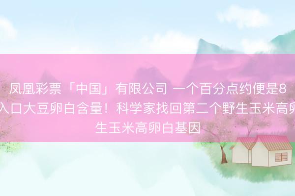 凤凰彩票「中国」有限公司 一个百分点约便是800万吨入口大豆卵白含量!科学家找回第二个野生玉米高卵白基因