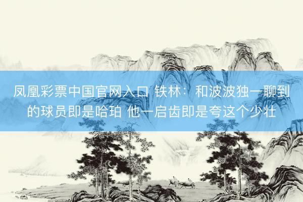 凤凰彩票中国官网入口 铁林：和波波独一聊到的球员即是哈珀 他一启齿即是夸这个少壮