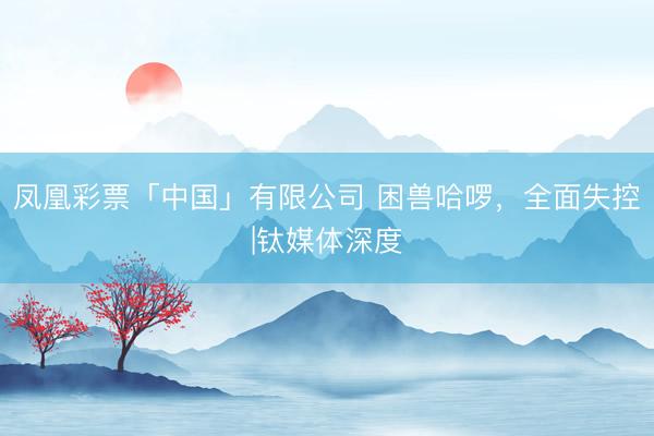 凤凰彩票「中国」有限公司 困兽哈啰，全面失控|钛媒体深度