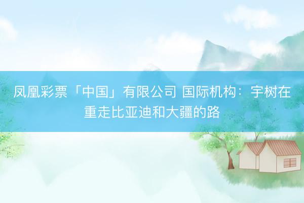 凤凰彩票「中国」有限公司 国际机构：宇树在重走比亚迪和大疆的路