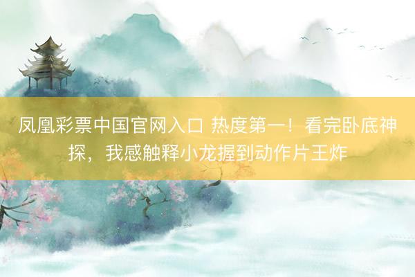 凤凰彩票中国官网入口 热度第一！看完卧底神探，我感触释小龙握到动作片王炸