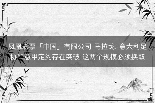 凤凰彩票「中国」有限公司 马拉戈: 意大利足协和意甲定约存在突破 这两个规模必须换取